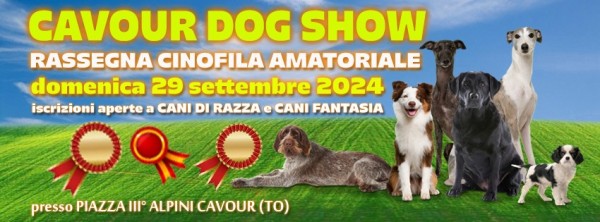 Cavour Dog Show