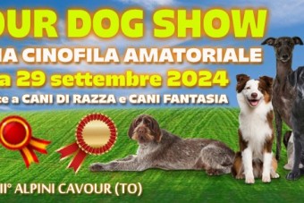 Cavour Dog Show